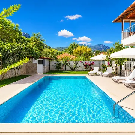 Daisy Villa