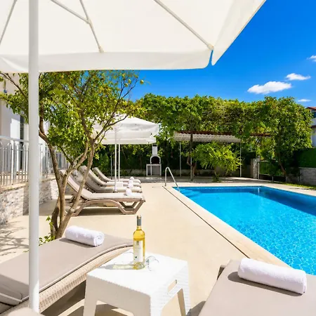 Daisy Villa *